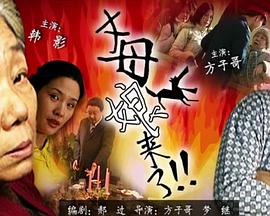 免费看直播